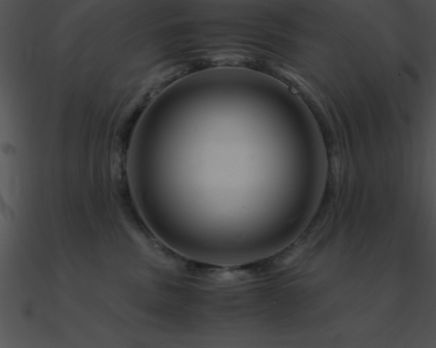 X0000090960379200708021421