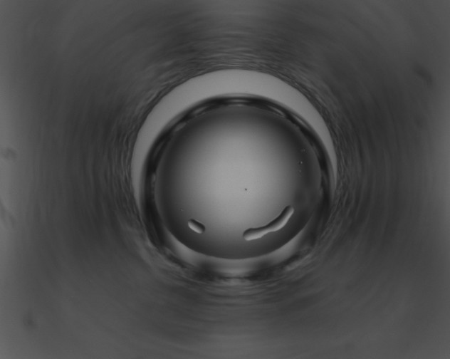 X0000090960380200708021421