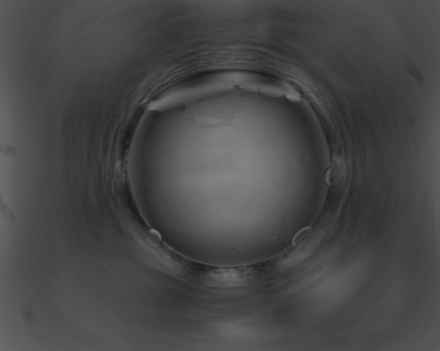 X0000090960381200708021421