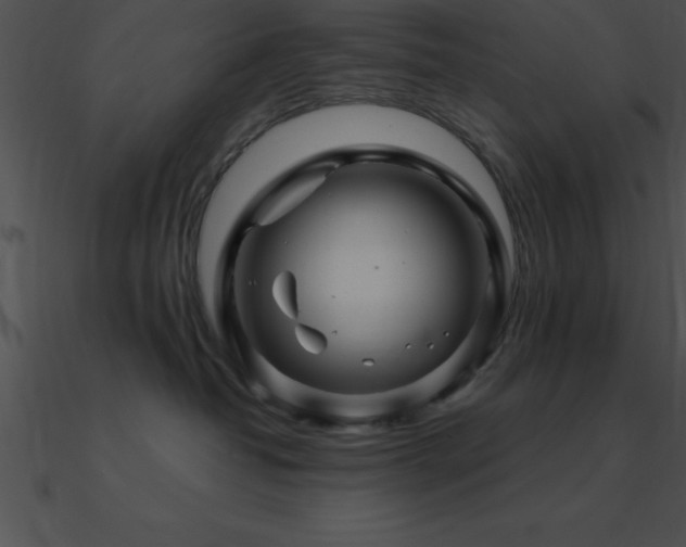 X0000090960382200708021421