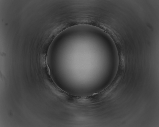 X0000090960383200708021421