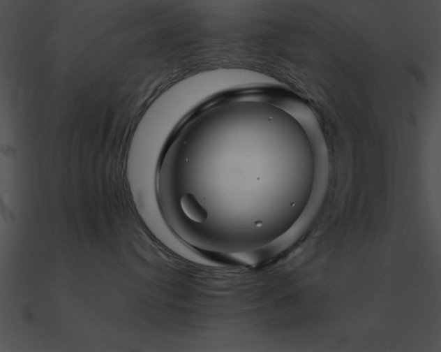 X0000090960384200708021421