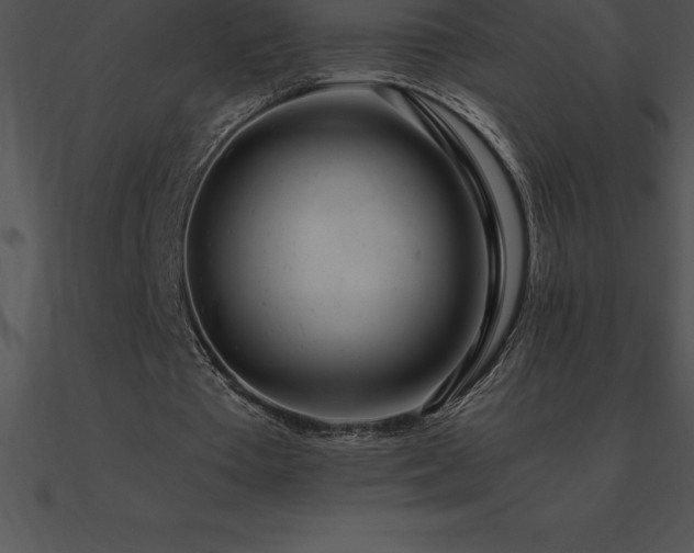 X0000090960385200708021420