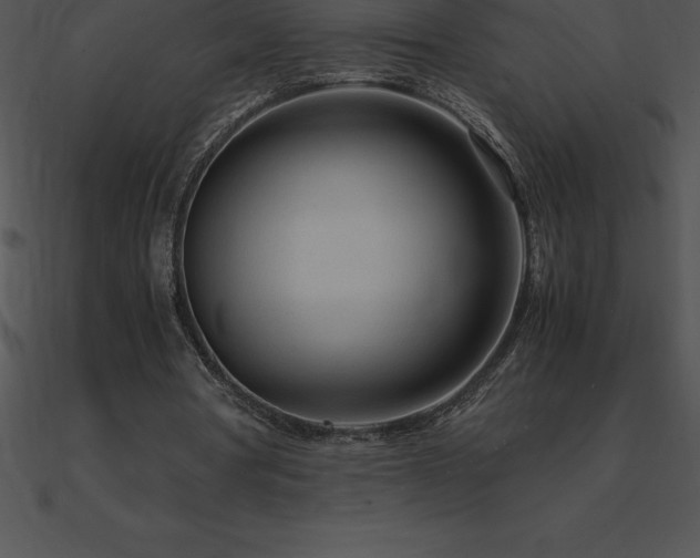 X0000090960386200708021420
