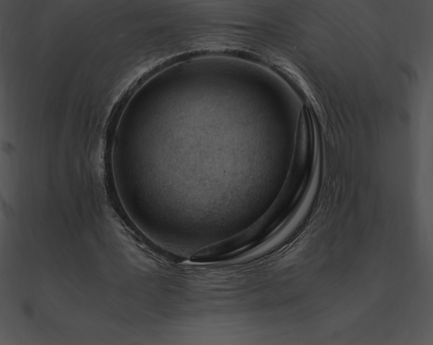 X0000090960387200708021420