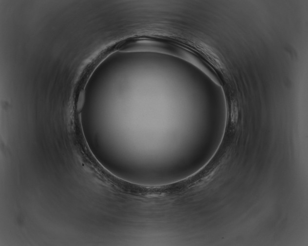 X0000090960388200708021420