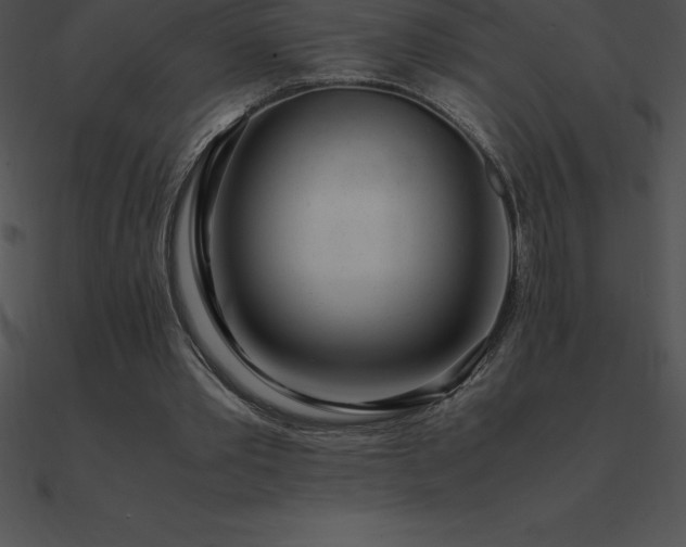 X0000090960389200708021420