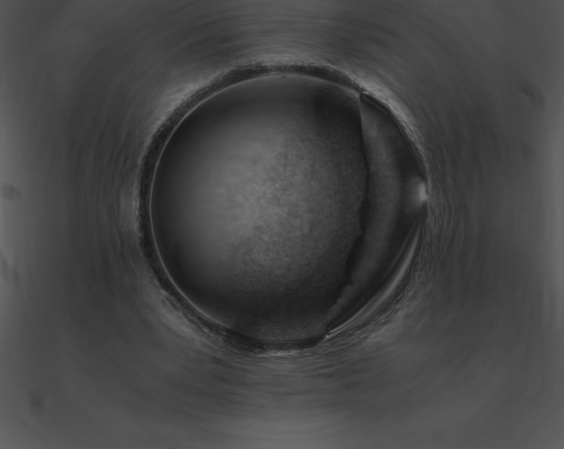 X0000090960391200708021420