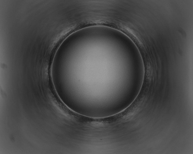 X0000090960394200708021420
