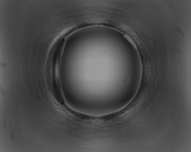 X0000090960395200708021420