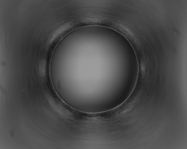X0000090960396200708021420