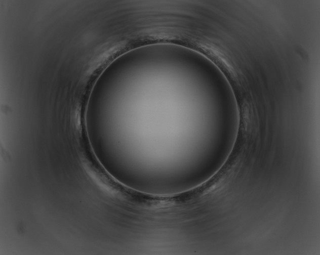 X0000090960398200708021420