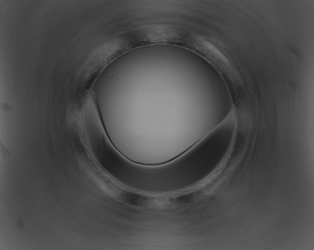 X0000090960405200708021420