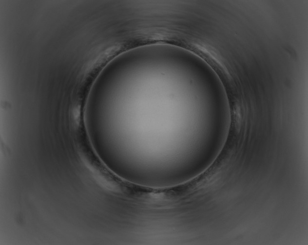 X0000090960406200708021420