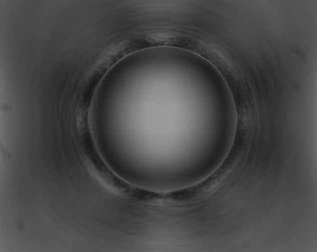X0000090960408200708021420