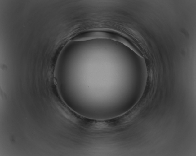 X0000090960409200708021420