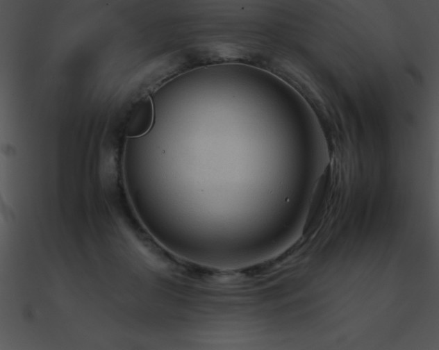 X0000090960410200708021420