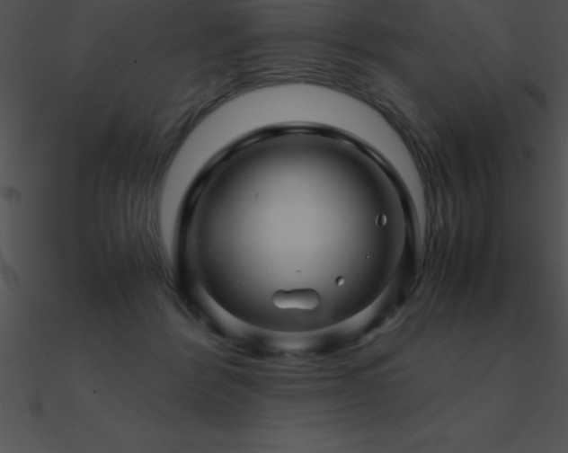 X0000090960412200708021420