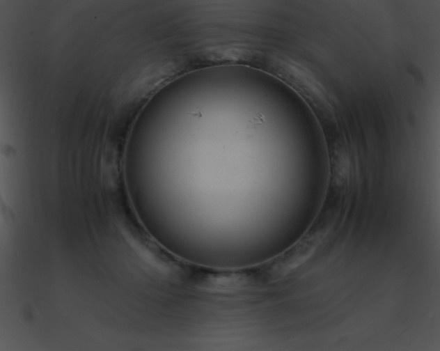 X0000090960414200708021420
