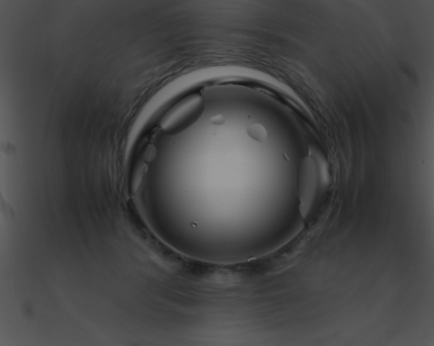 X0000090960416200708021420