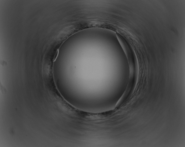 X0000090960417200708021420