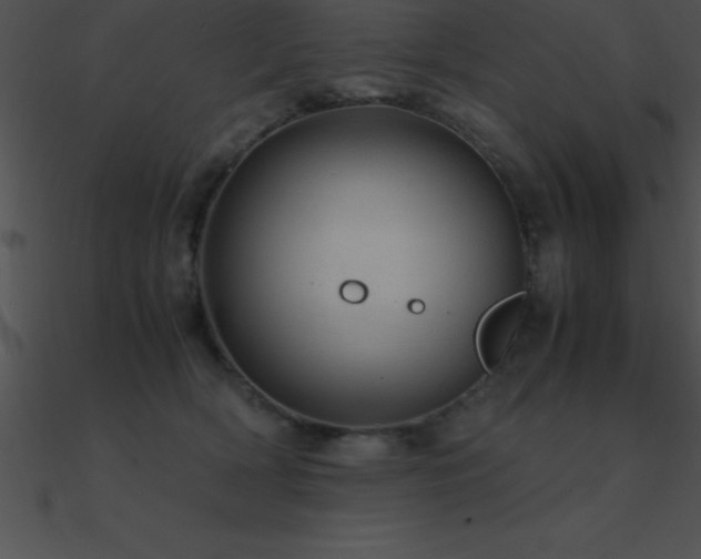 X0000090960418200708021420