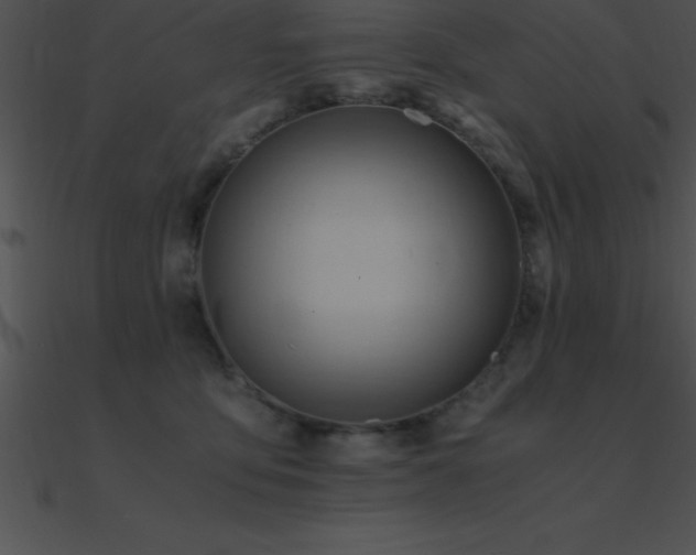 X0000090960419200708021420