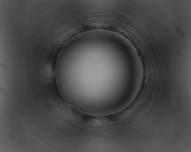 X0000090960420200708021420