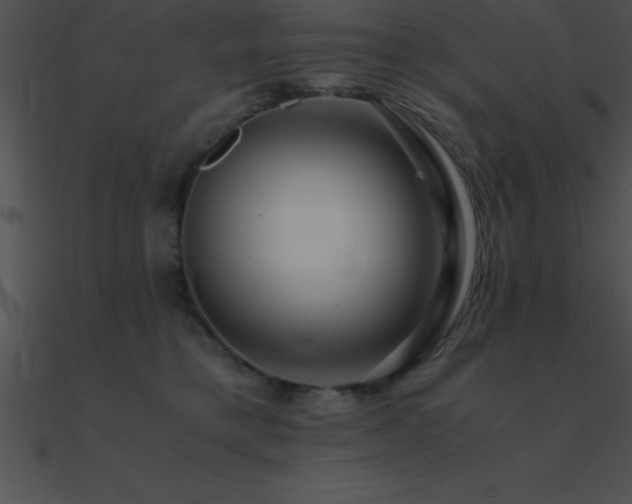 X0000090960421200708021420