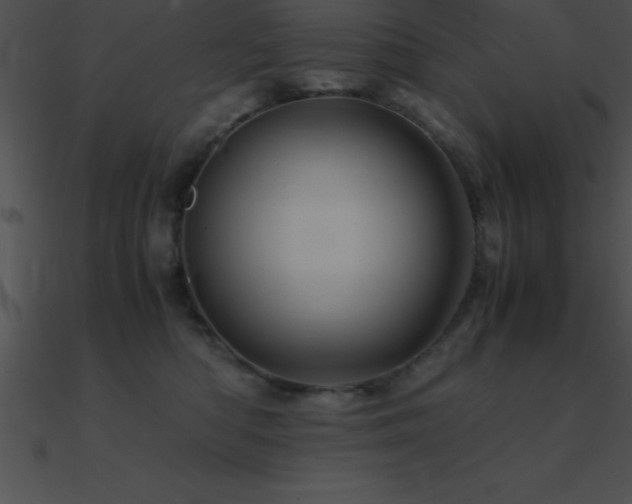 X0000090960422200708021420