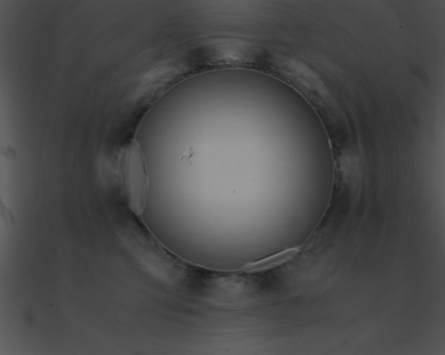 X0000090960423200708021420