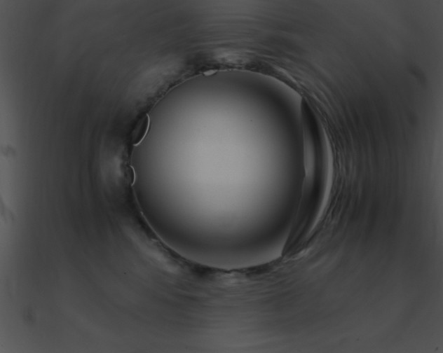 X0000090960424200708021420