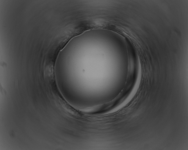 X0000090960425200708021420