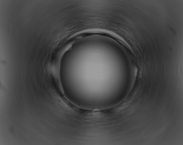 X0000090960428200708021420