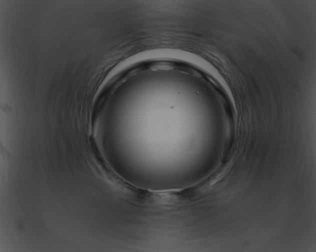 X0000090960429200708021420