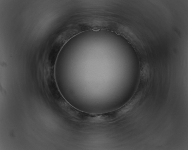 X0000090960430200708021420