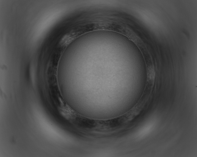 X0000090960431200708021420