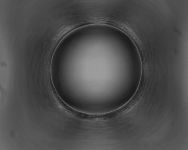 X0000090960433200708021419