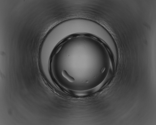 X0000090960434200708021419