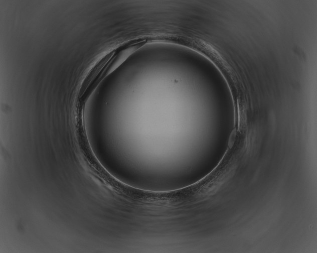 X0000090960435200708021419