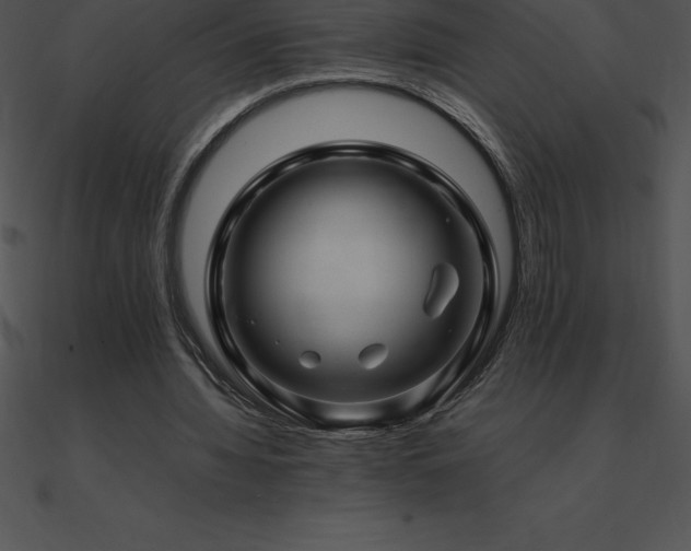 X0000090960436200708021419