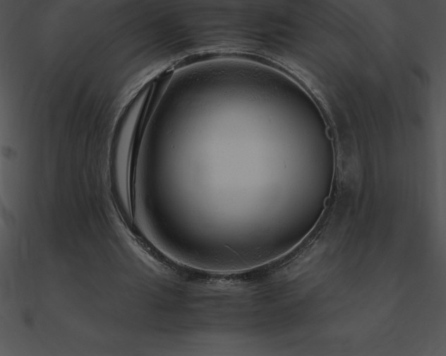 X0000090960437200708021419