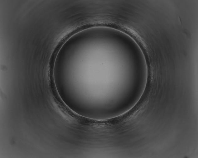 X0000090960439200708021419