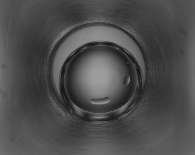 X0000090960440200708021419