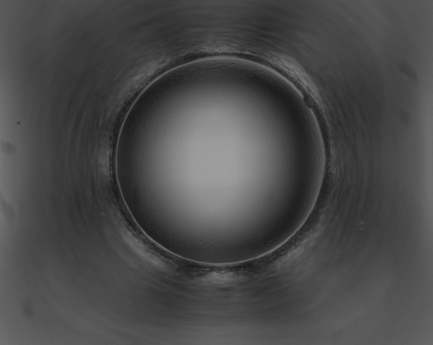 X0000090960441200708021419