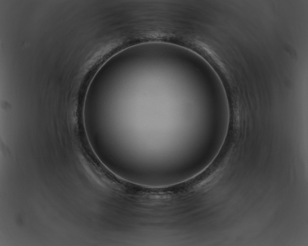 X0000090960443200708021419