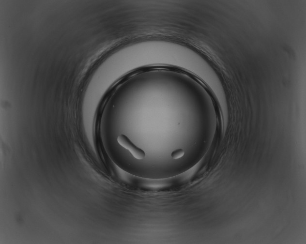 X0000090960444200708021419