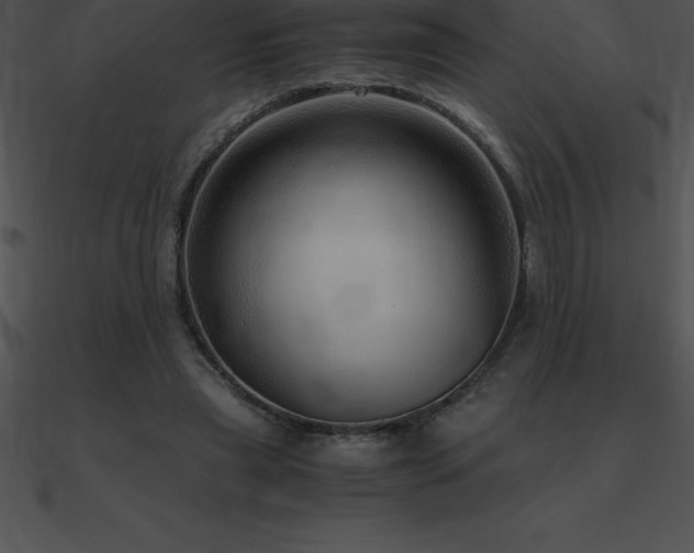X0000090960445200708021419