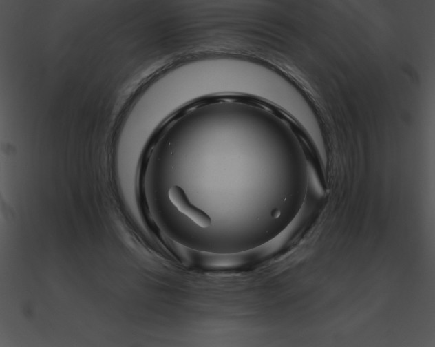 X0000090960446200708021419