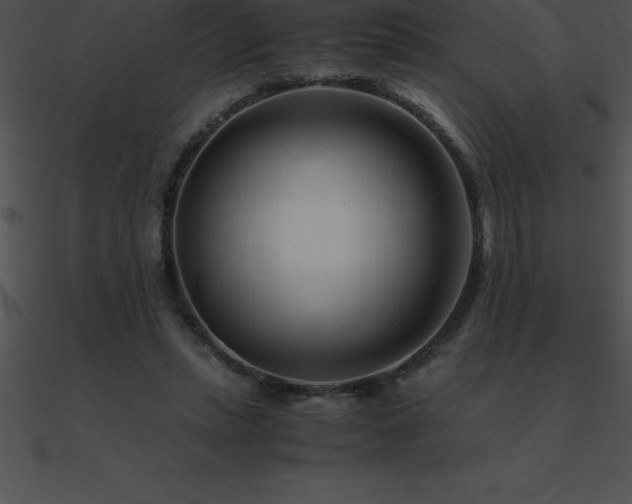 X0000090960447200708021419
